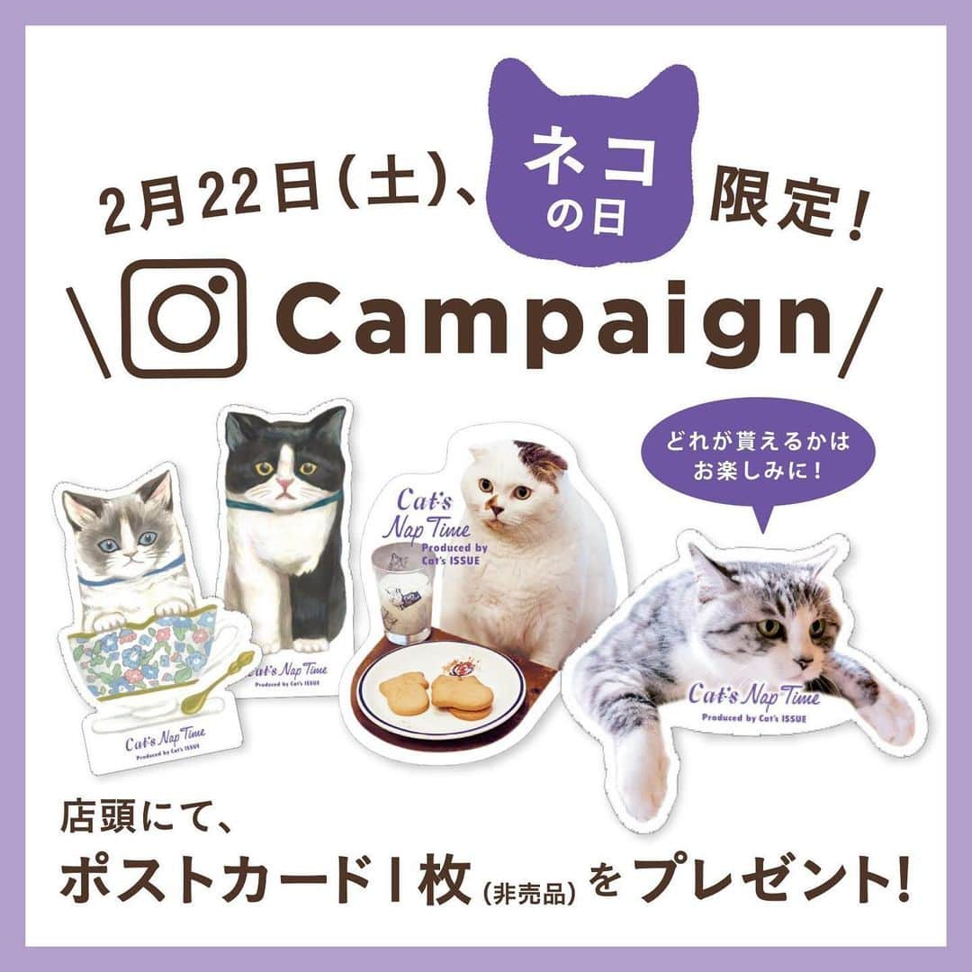 Cat's NapTimeのインスタグラム：「2/22はネコの日！ネコの日だけの特別キャンペーンを開催します。 ・ 2/22、リビングの店舗にてAfternoon Tea公式インスタグラム( @afternoontea_official )のフォロー画面をご提示で「わたしの『Cat’s NapTime』愛用アイテム」キャンペーンで大変ご好評いただいたオリジナルポストカード(非売品)を4種類の中から1枚プレゼント！ ・ 一日だけの特別企画です。ぜひ、店頭に #cats_naptime5 アイテムを見に来てくださいね！ ・ ・ ※一部店舗で商品の取り扱い、キャンペーンの実施がございません。詳しくはお近くの店舗かお問い合わせ窓口までお問合せください。 ※プレゼントはなくなり次第終了です。 ※お一人様1点限り。 ※4種類のうち1種類をプレゼントいたします。 ※在庫状況により全柄が揃っていない場合もございます。あらかじめご了承ください。 ※Official Online Shopでは実施しておりません。 ・ ・ ・ #cats_naptime #cats_naptime5 #AfternoonTea #AfternoonTeaLIVING #ネコ #cat #Campaign #サバ美 #コムタン #非売品 #ポストカード」