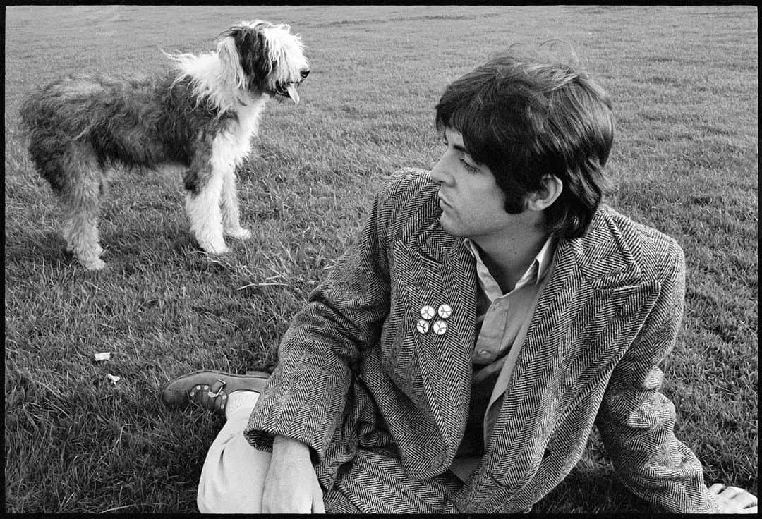 ポール・マッカートニーさんのインスタグラム写真 - (ポール・マッカートニーInstagram)「Martha My Dear. London, 1969. Photo by @lindamccartney #TBT #ThrowbackThursday #RegentsPark #dogsofinstagram #loveyourpetday」2月21日 2時44分 - paulmccartney