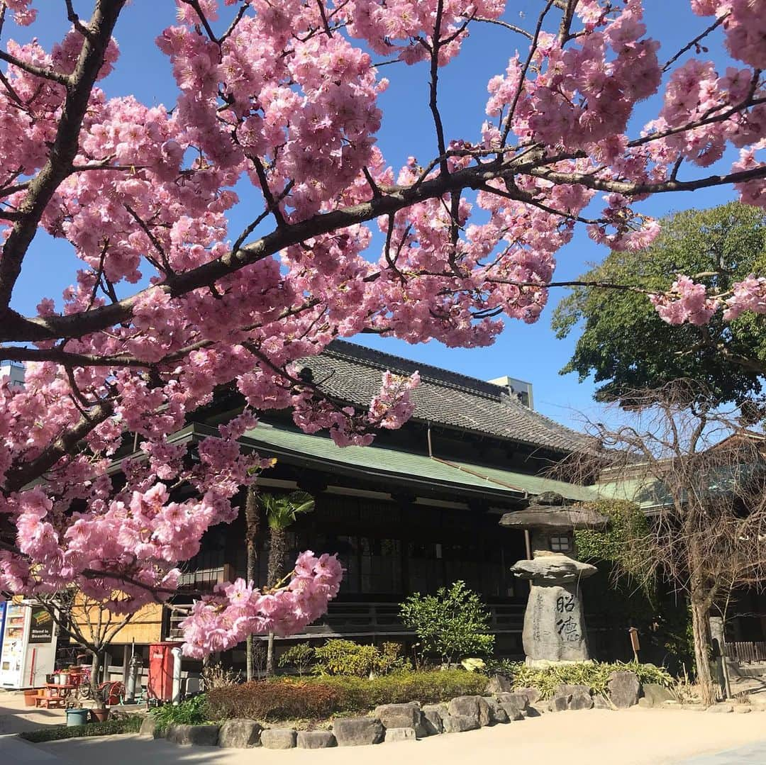 井脇幸江さんのインスタグラム写真 - (井脇幸江Instagram)「旅…💓」2月21日 2時47分 - yukie.iwaki