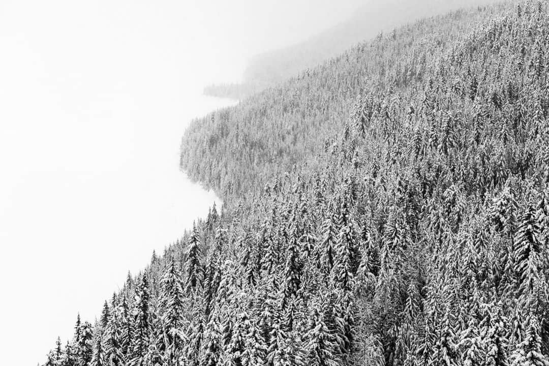 ナショナルジオグラフィックさんのインスタグラム写真 - (ナショナルジオグラフィックInstagram)「Photos by Pete McBride @pedromcbride | Snow, silence, and negative space: The stillness of winter settles in across the Canadian Rockies. For more wild and quiet places, follow @pedromcbride. #winter #nature #woods #petemcbride #fineart」2月21日 4時37分 - natgeo