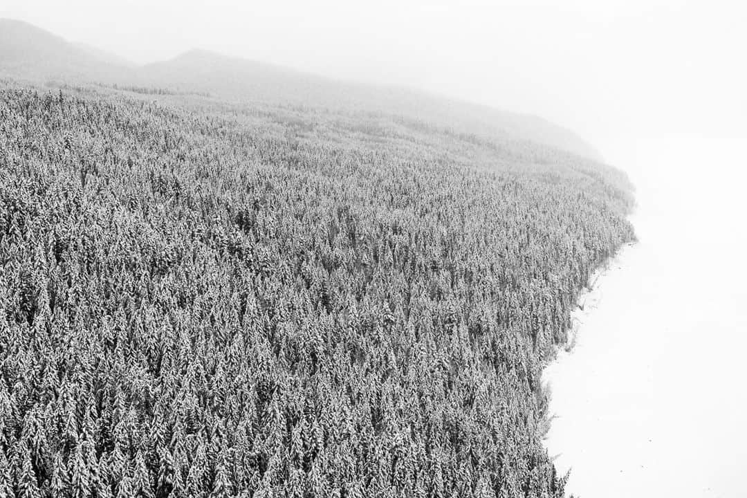 ナショナルジオグラフィックさんのインスタグラム写真 - (ナショナルジオグラフィックInstagram)「Photos by Pete McBride @pedromcbride | Snow, silence, and negative space: The stillness of winter settles in across the Canadian Rockies. For more wild and quiet places, follow @pedromcbride. #winter #nature #woods #petemcbride #fineart」2月21日 4時37分 - natgeo