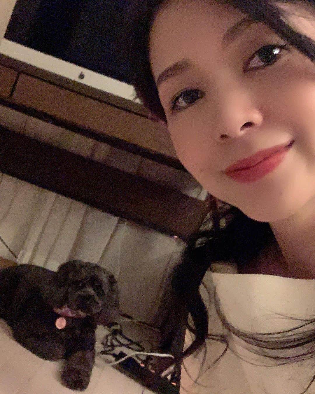 日下裕江さんのインスタグラム写真 - (日下裕江Instagram)「ピーシェルちゃんに再会💓  ちょいと 時間ができたから 会って来た🐕‍🦺💕 ピーはシャイで天邪鬼👹 こっちから行くと逃げられる💨 でも最近は覚えてくれてて、 姿見つけたら一目散に飛びついて来てくれて、たまんなく可愛い😍 『おいで♡』 って言ったら たまに来てくれる🐾  それだけでも 距離が縮まって嬉しい💓  基本逃げられるから おやつ作戦に出る🍪🧁🍩✨ いつになったら もっと距離が縮まるのやら🤷‍♀️ めげずに挑むのみ🔥  #コッカプー #アメリカンコッカースパニエル #トイプードル #ミックス犬 #americancockerspaniel #toypoodle #mixdog #mixdogstagram #mix犬」2月21日 5時03分 - hiroe___h