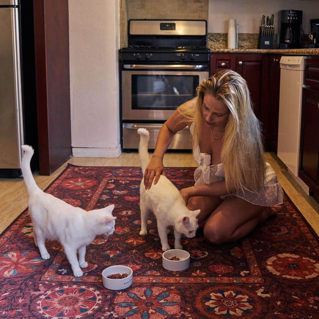ジェネビーブ・モートンさんのインスタグラム写真 - (ジェネビーブ・モートンInstagram)「Tell me about your pets? I adopted @pattiandlabelle from @crumbs_whiskers about 3 years ago. I was not expecting to get them the day I went to visit, but I’ve always had a thing for white cats. And these two angels were a bonded pair. I got extremely lucky because they are both very friendly, playful and loving. They never scratch anything and have never done anything naughty.... which leads me to believe that they are actual angels in cats bodies 🥰🥰」2月21日 5時52分 - genevievemorton