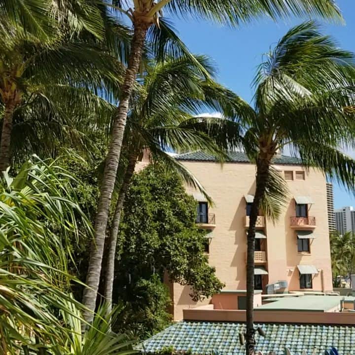 瀬川慶のインスタグラム：「Windy days in Hawaii. Too spoiled to have this view as a dressing room. 風強かったー!　こんな贅沢なビューの控室ですみません! #ハワイ　#アロハ #ワイキキ　#シェラトン　#イベント　#司会　#ハワイの仕事　#ハワイ在住」