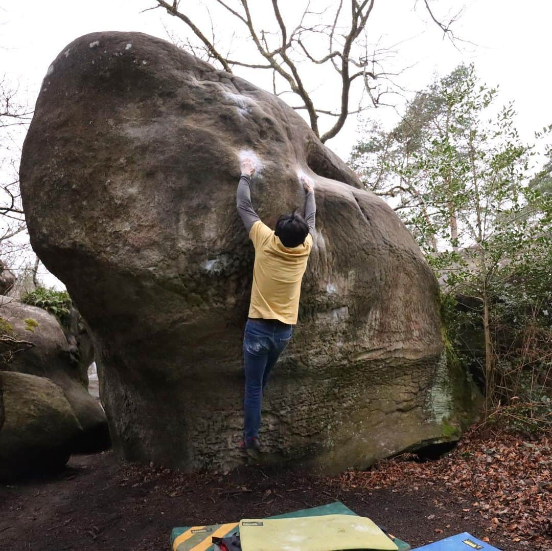 濱田健介のインスタグラム：「Fontainebleau day9. I went to Bas Cuvier in the morning. But I hurt my back when I tried Cortomaltèse 6C+. So I came back to Gîte and I took rest and massage. In the evening, I recovered a little and went to Bas Cuvier again. I climbed Cortomaltèse 6C+ and La balance 7C+. Slopers were very bad for me. ブロー9日目。 今日はBas Cuvierへ。 朝一でCortomaltèse 6C+をやったら、背中をピキって負傷。。痛くて動けんし、こりゃダメだということで一旦宿に帰って休憩。。ドクターエアのブルブルでひたすらマッサージ。 夕方だいぶマシになったし、再びBas Cuvierへ。 Cortomaltèse 6C+を何とかリベンジして、La balance 7C+にトライ。地ジャンから悪いし、上部もスローパーでめちゃ疲れたけど何とか日暮れ前に登れた。 今日は何とか登れたけど、明日は背中治ってるといいなー。 写真①La balance、写真②Cortomaltèse、動画La balance。 @rockmasterhq  @unparallelup  @organicclimbing  @nogradjustfeeling  @camp1889」