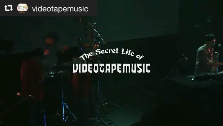 のインスタグラム：「VIDEOTAPEMUSICのワンマンライブの映像が公開されました。サックス🎷ブリブリ吹いてますので是非！！フルバージョンはYouTubeでチェック出来ます。  #repost @videotapemusic  VIDEOTAPEMUSIC / "PINBALL feat.Shohei Takagi" Live at Tokyo kinema club August 31, 2019  full version → https://www.youtube.com/embed/RDI01x4rpkY」