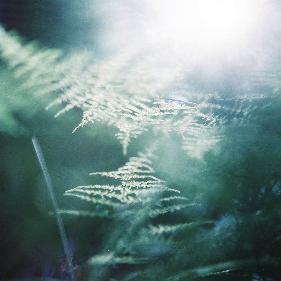 izumi_60のインスタグラム：「2020│02│21│friday│08:15 . おはようございます🌿. . 仕事周り、諸々ゴタゴタ気味😞💨 . . 深呼吸して、金曜日頑張ろう .」