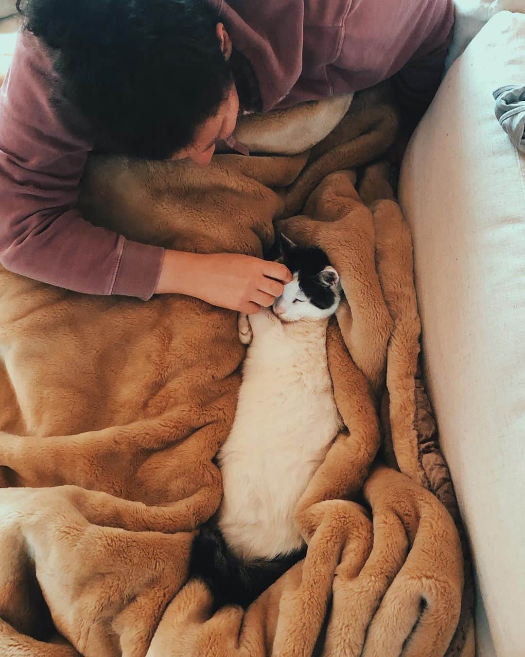 Grace Bonneyのインスタグラム：「Turk isn’t out of the woods yet, but for right now- he’s still here with us. And we were so grateful for that. Thank you for all of the love and good wishes 💛 He’s lost a lot of weight and isn’t quite himself, but we are going to stay the course and hope he can bounce back from this bout of pancreatitis. It’s scary to see him like this, but I’m so thankful that he has a safe place to rest right now. Snuggled with his moms and napping in a giant blanket. Swipe right to see him so snuggled it looks like he’s nestled himself into a plush crevasse 🏔 😂」