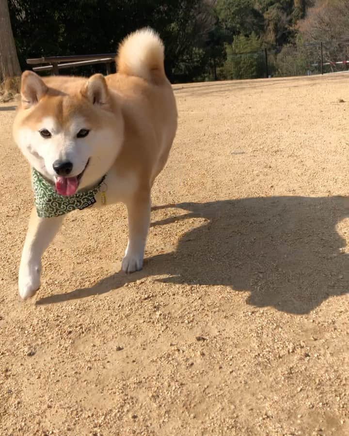 豆助左衛門（まめすけざえもん）のグルメインスタ