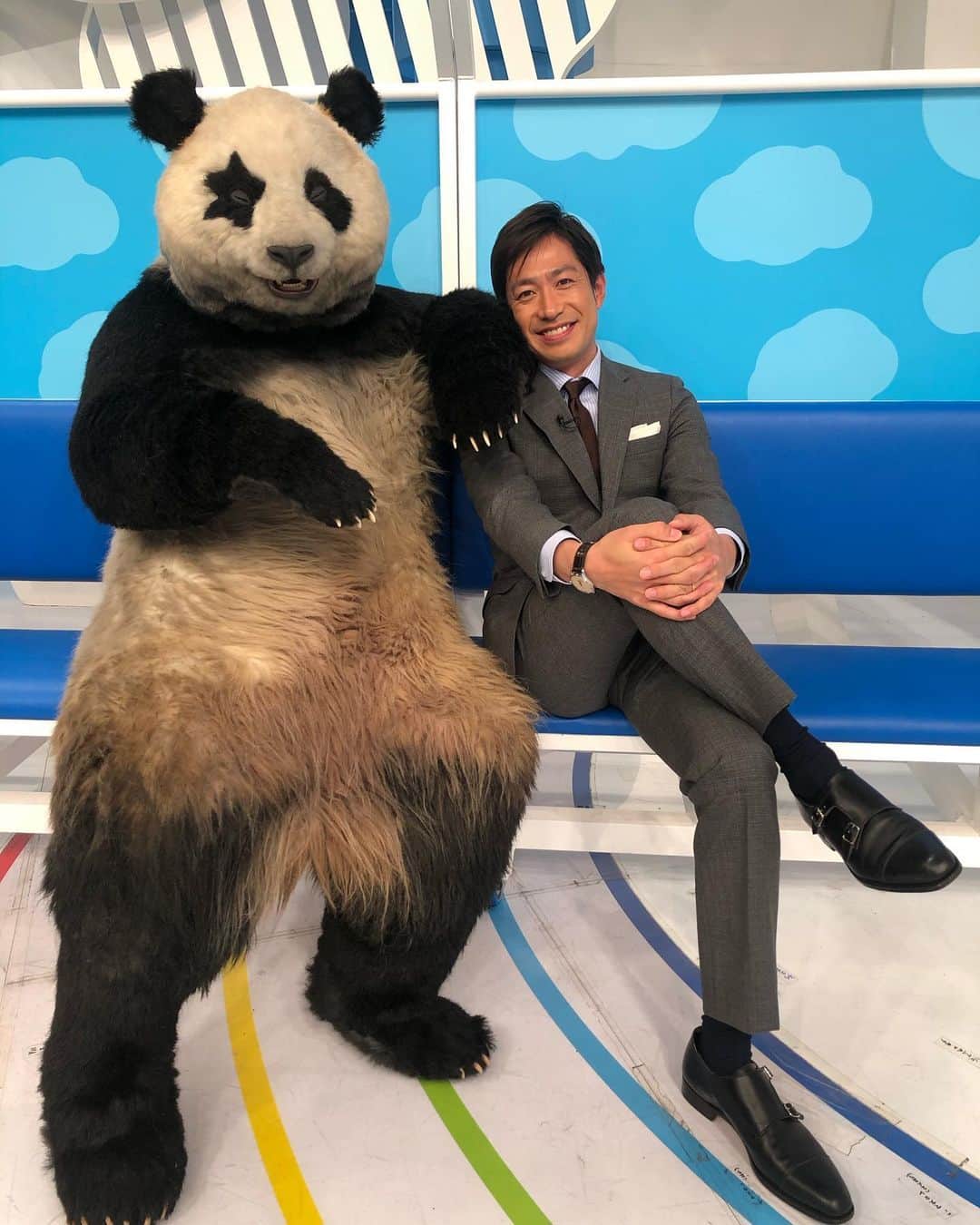 のインスタグラム：「会社に行ったらパンダがいました🐼  #ZIP! #panda #パンダ #星星」