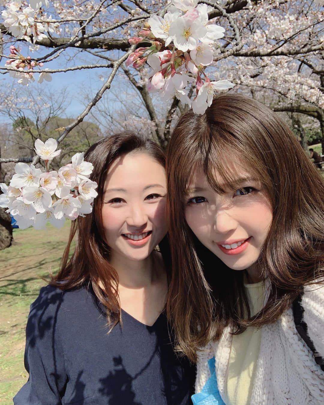 中村愛さんのインスタグラム写真 - (中村愛Instagram)「🌸♡ ・ ・ ・ #代々木公園　桜🌸いい感じでしたー^_^✨‼️ 何よりも天気良いからだろうなぁ❣️❣️ お昼以降はちょいと人多め！ #nikon #桜  #撮影のお手伝い #中村愛」3月21日 13時32分 - nakamuramura_ai
