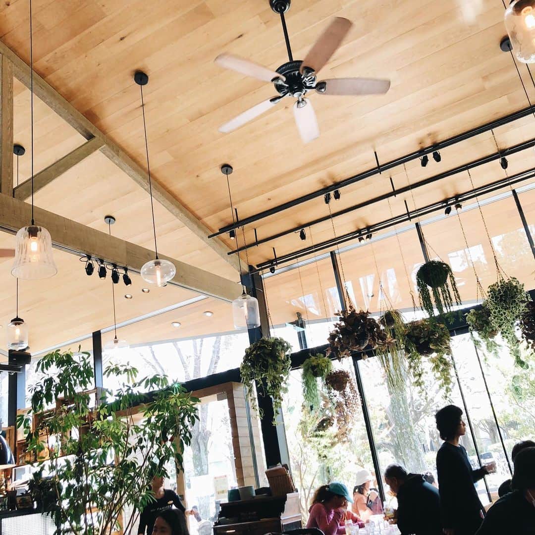 momokoのグルメインスタ