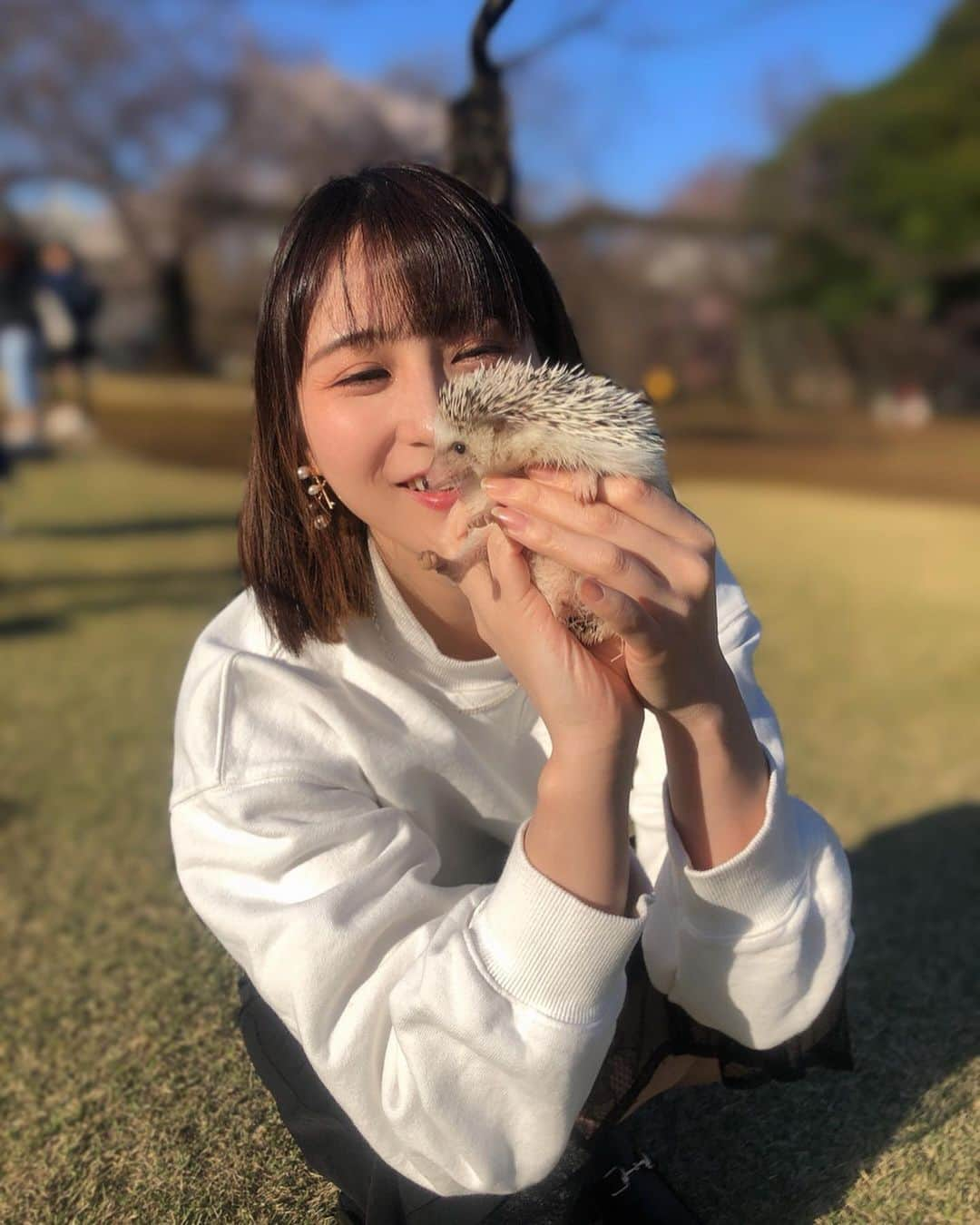 はりーさんのインスタグラム写真 - (はりーInstagram)「うちのハリ坊 かわいいでしょー？♡ 今日のお花見での人気者はハリー君でした♡ みんなにかわいいかわいい言われて嬉しそうなハリーでした🥺❤️ #白雪の家族#白雪ペット  #ハリネズミ#ハリネズミのいる暮らし #ハリネズミ散歩#はりねずみのいる暮らし #はりねずみ#はりねずみのあずき#へっじほっぐ #へっじほっぐらむ #heghog #はりねずみのいる生活」3月21日 13時57分 - kirarin_harry_official