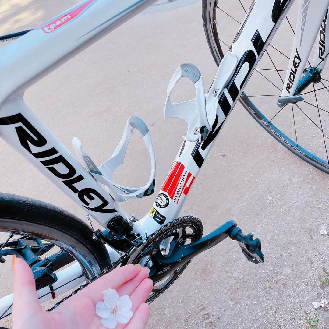 林檎蜜紀のインスタグラム