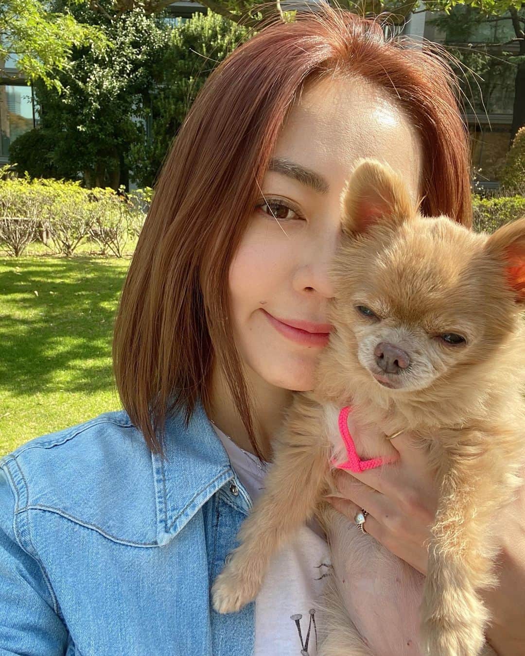 松岡李那さんのインスタグラム写真 - (松岡李那Instagram)「Happy Saturday ❤️ みいことおしゃんぽ☺️🐶☀️ ミイはすぐ歩きたくないよ、抱っこしろ🐶と言って動かなくなる。 #sunnyday #happymoment #dogstagram #doggie」3月21日 14時18分 - linahxoxo