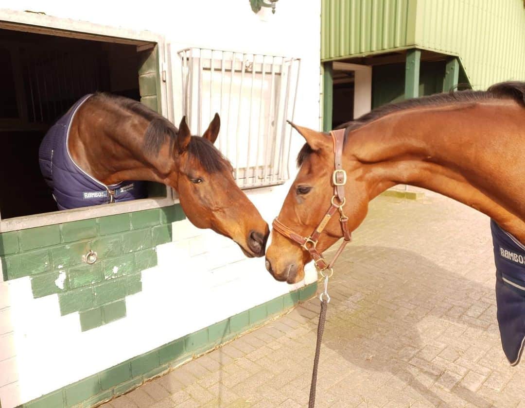 ジュディ舞衣のインスタグラム：「Love>social distancing😘🦄💓」