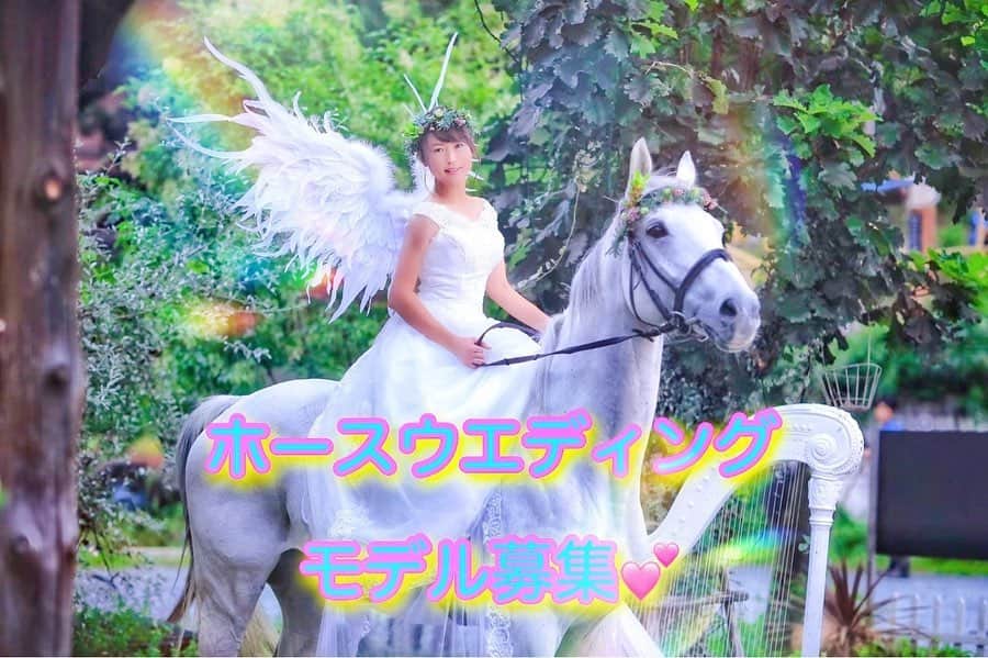 舘林佳史のグルメインスタ