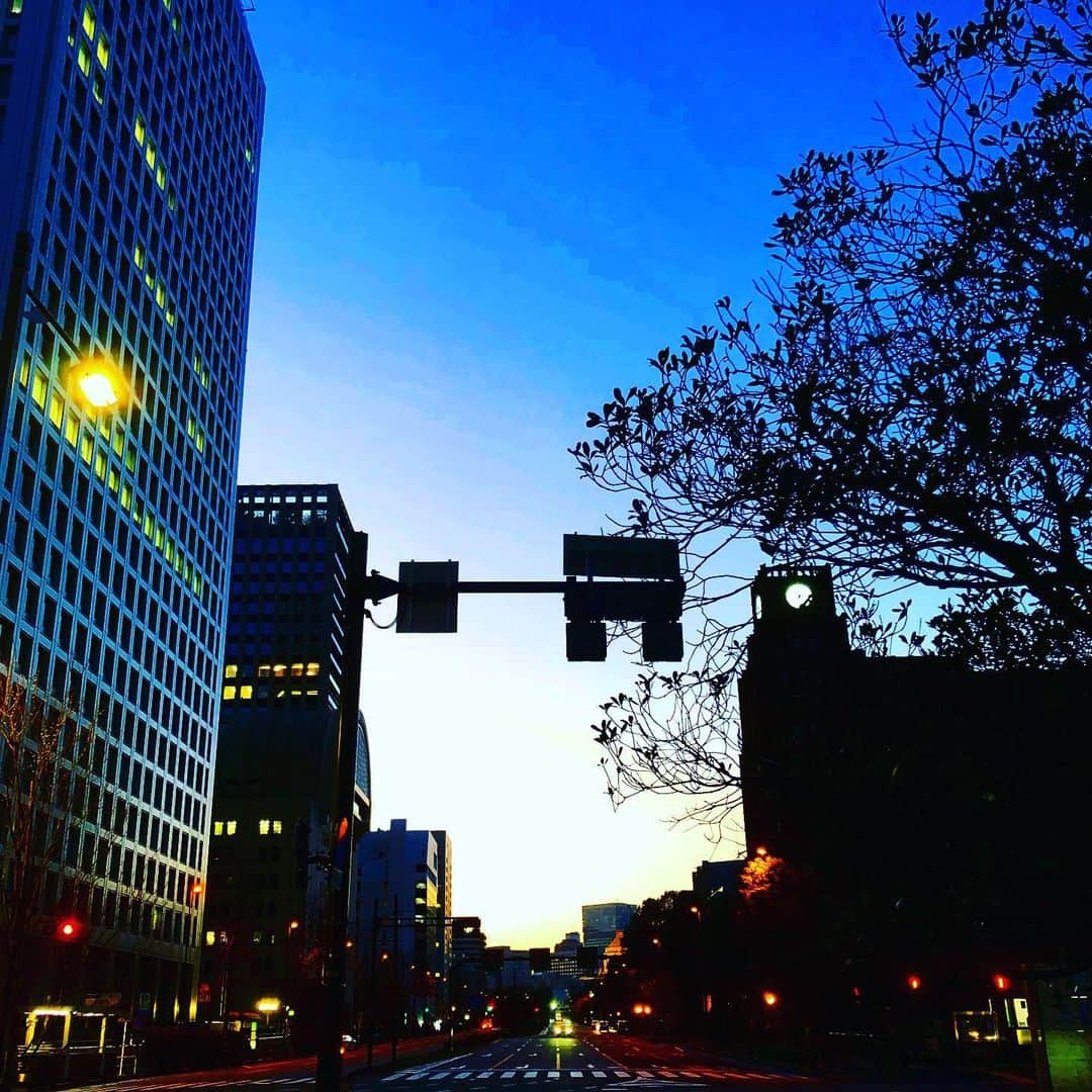 藤田朋子さんのインスタグラム写真 - (藤田朋子Instagram)「#夜景 #春分の日 #暮れる空 #街明かり #国会方面 #eveningsky #darkblue  #tokyo #inthetown #look」3月21日 8時59分 - chiendormant