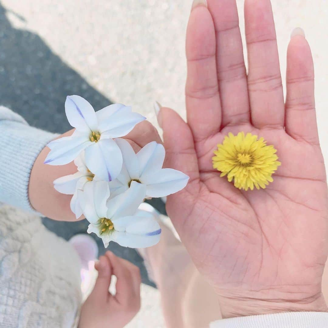 水野佑香さんのインスタグラム写真 - (水野佑香Instagram)「こんなに気持ちの良いお天気だけど、﻿ お出かけできないもどかしさ。﻿ ﻿ ﻿ 綺麗な花が咲いてて、﻿ 気持ちいいなぁ〜。﻿ ﻿ ﻿ この名前の知らない白いお花、﻿ すごくいい香りで可愛い◡̈⃝💕💕💕﻿ ﻿ ﻿ 皆様も良き連休をお過ごしくださいね。﻿ ﻿ ﻿ ﻿ #水野祐香 #ママ5年生 #4歳児 #親バカ部 #育児日記 #女の子 #mamanoko #コドモノ #親バカ #育児記録  #4歳  #love #peace #family #mamagirl #子供のいる暮らし #子供のいる生活 #コノビー #ig_oyabakabu #家族の時間」3月21日 14時35分 - mizuno_yuka