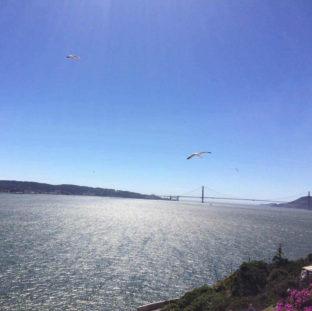 のインスタグラム：「Inhale... exhale... Dreaming of one of my favourite places 💜  #sanfrancisco #thebay」