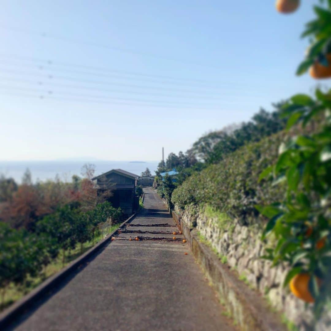 池内万作のインスタグラム