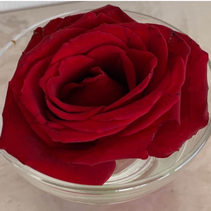 夏木マリさんのインスタグラム写真 - (夏木マリInstagram)「おはようございます...... 今日は 紅いバラ・マリルージュの日です。  京都の小川珈琲さんでは オリジナルカップでのコーヒー提供と 先着でバラのプレゼントしてくださいます！  お近くの方 いらして下さいね。  One of loveプロジェクトは バラとGIGで、１年ごとに エチオピアの子供達のリクエストで支援させて頂いています。  ご支援 よろしくお願い致します！  #OneofLoveプロジェクト #マリルージュの日 #rose  #music #支援 #小川珈琲 #kyoto  #GIG #live #7月14日 #19時開演 #18時半開場 #18時グッズ販売  #夏木マリ #NATSUKIROCK @mari_natsuki」3月21日 9時51分 - mari_natsuki