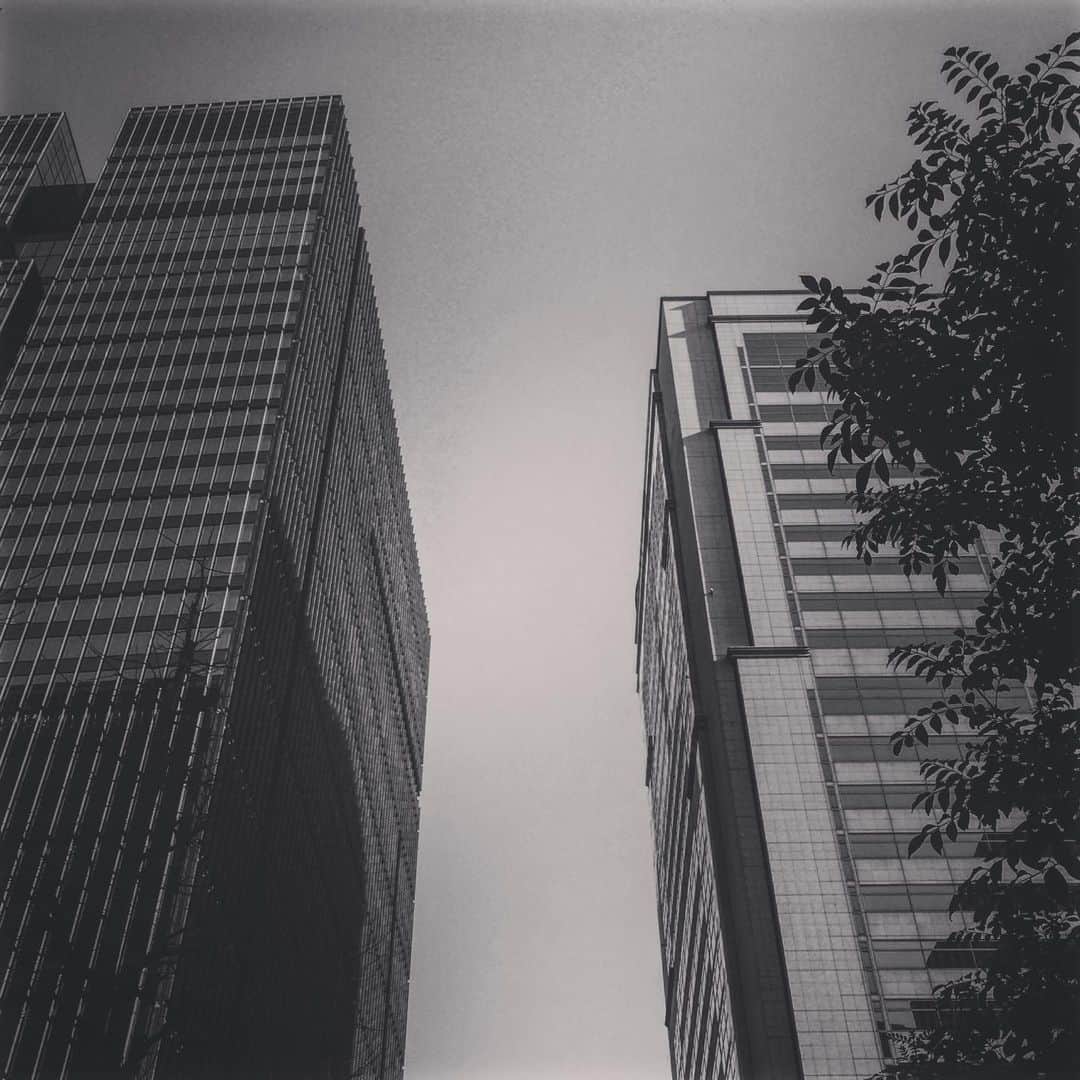 松田洋治のインスタグラム