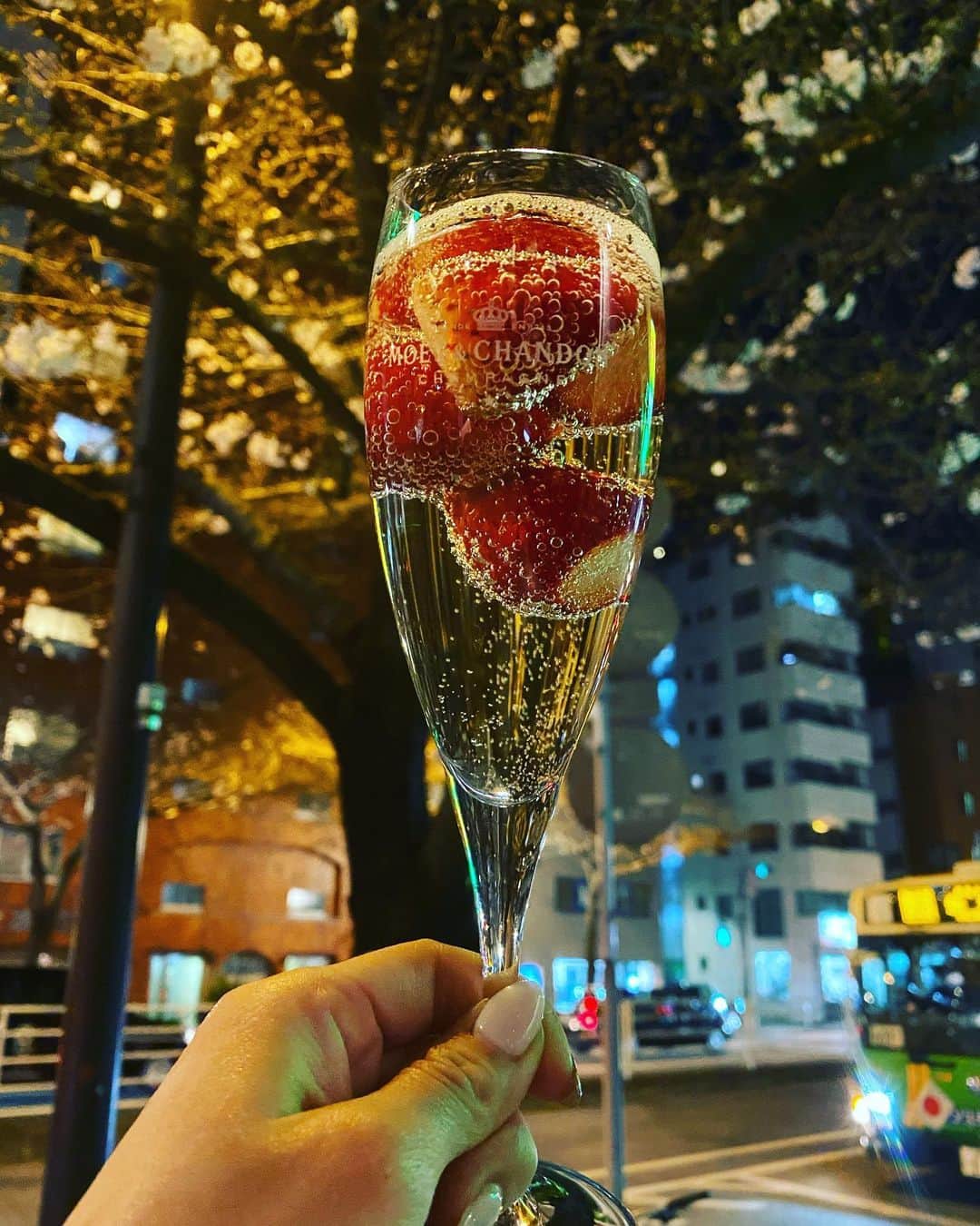 葵ゆりかさんのインスタグラム写真 - (葵ゆりかInstagram)「🌸と🍓シャンパン🥂 明治通り沿いでお花見しながら飲めちゃう素敵なお店🥂 期間限定cafe🌸  #🥂　#🍓　#お花見　#🌸　#広尾　#恵比寿　#cafe #bar #乾杯　#わんこok #子連れ歓迎　#ランチ」3月21日 10時55分 - yuriyuricchi