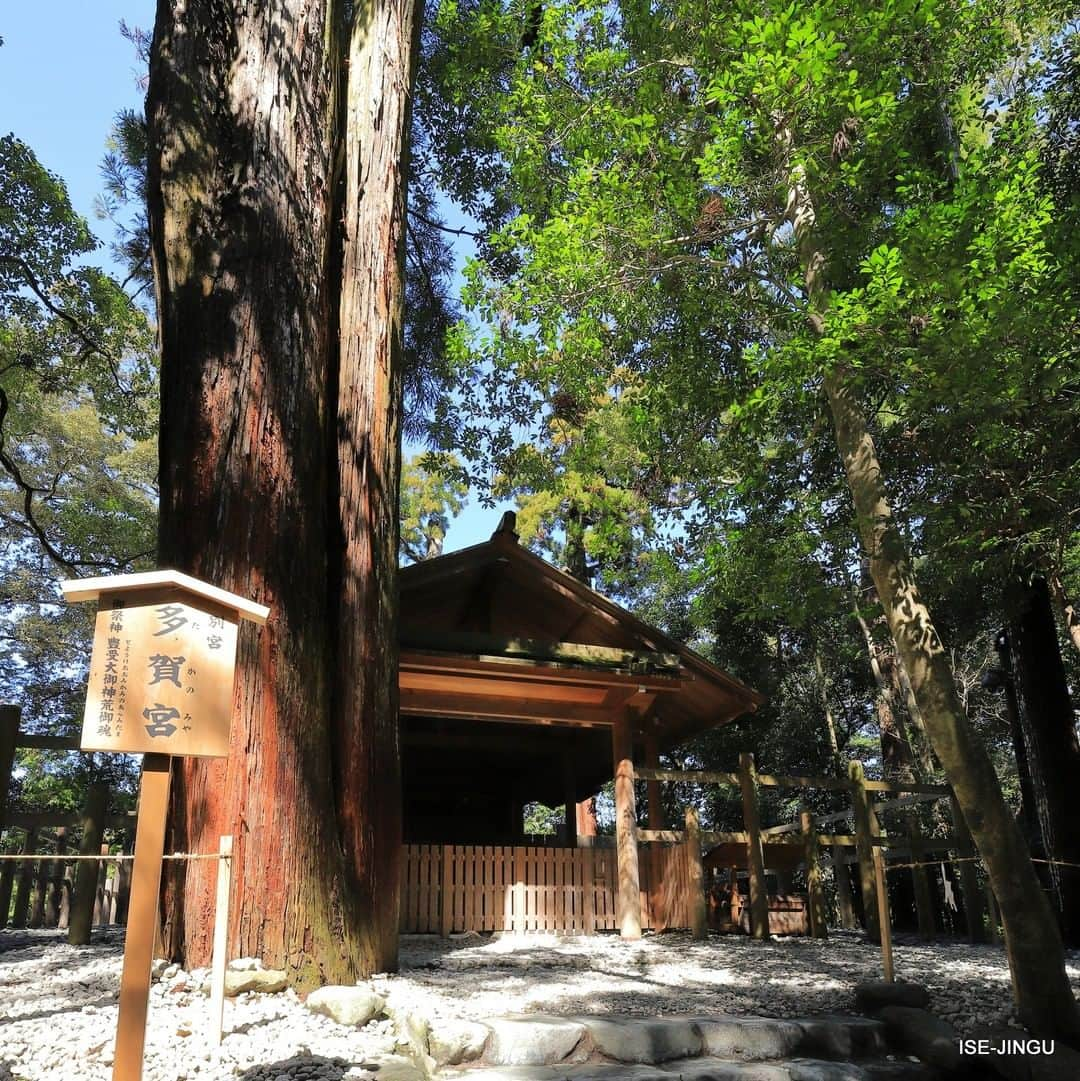 伊勢神宮さんのインスタグラム写真 - (伊勢神宮Instagram)「#伊勢神宮 #神宮 #神社 #心のふるさと #多賀宮 #別宮 #外宮 #神宮125社 #ISEJINGU #JINGU #SOUL_of_JAPAN #Japan #Jinja #Shinto #Takano_miya #Geku」3月21日 11時01分 - isejingu.official