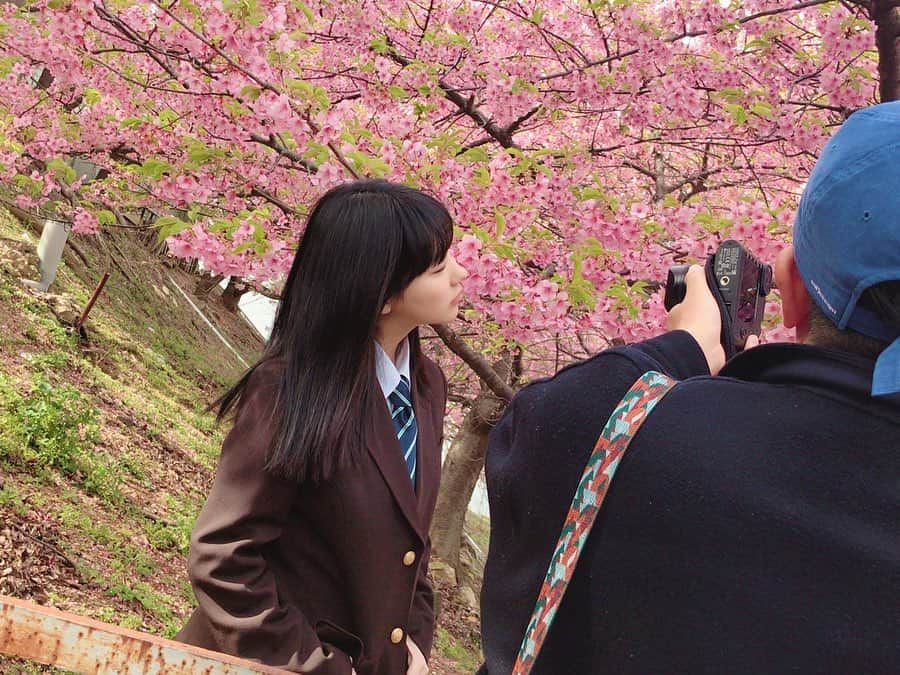 田中美久さんのインスタグラム写真 - (田中美久Instagram)「🌸📸告知です。. . #graduation2020高校卒業　 #BLT #オフショット　#🌸 3月21日本日発売です！ 制服着てます☺️ レアになりそうですね。 是非チェックして下さい！」3月21日 11時19分 - mikumonmon_48