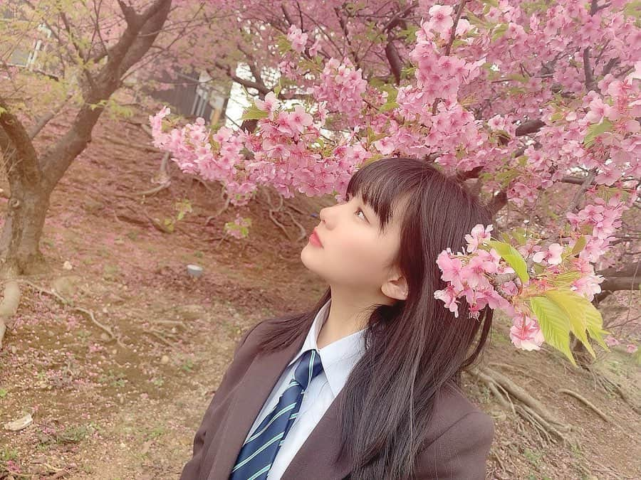 田中美久さんのインスタグラム写真 - (田中美久Instagram)「🌸📸告知です。. . #graduation2020高校卒業　 #BLT #オフショット　#🌸 3月21日本日発売です！ 制服着てます☺️ レアになりそうですね。 是非チェックして下さい！」3月21日 11時19分 - mikumonmon_48