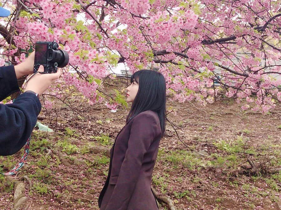 田中美久さんのインスタグラム写真 - (田中美久Instagram)「🌸📸告知です。. . #graduation2020高校卒業　 #BLT #オフショット　#🌸 3月21日本日発売です！ 制服着てます☺️ レアになりそうですね。 是非チェックして下さい！」3月21日 11時19分 - mikumonmon_48