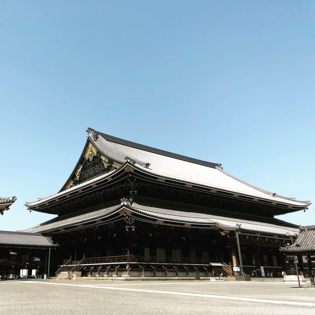 武井壮さんのインスタグラム写真 - (武井壮Instagram)「東本願寺でか！！」3月21日 11時19分 - sosotakei