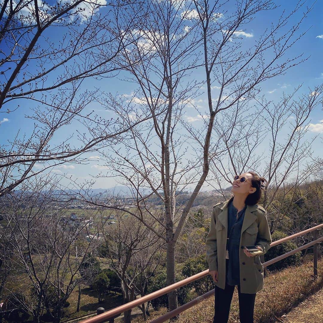 小泉里子さんのインスタグラム写真 - (小泉里子Instagram)「東京から車で大阪へ。 桜はまだ蕾だったけど、気持ちのいいところでした。 #摂津峡公園 #桜 #お彼岸 #お墓参り」3月21日 11時58分 - satokokoizum1