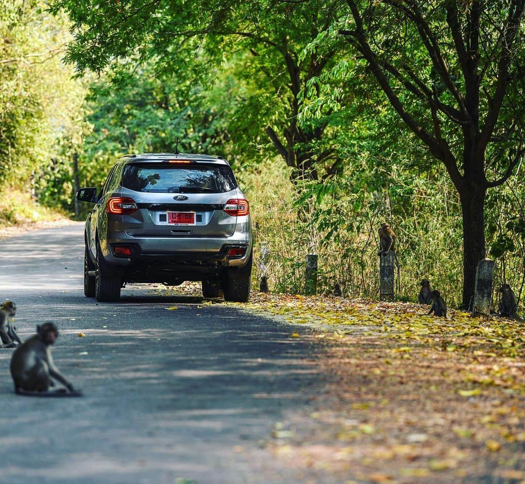 Ford Thailandさんのインスタグラム写真 - (Ford ThailandInstagram)「สวย สปอร์ต นั่งสบาย จนใครๆก็อยากตาม...กลับไปด้วย🐒 ฟอร์ด เอเวอเรสต์ สปอร์ต ต้นแบบสปอร์ต ที่ใครๆ ก็ต้องตาม」3月21日 12時03分 - fordthailand