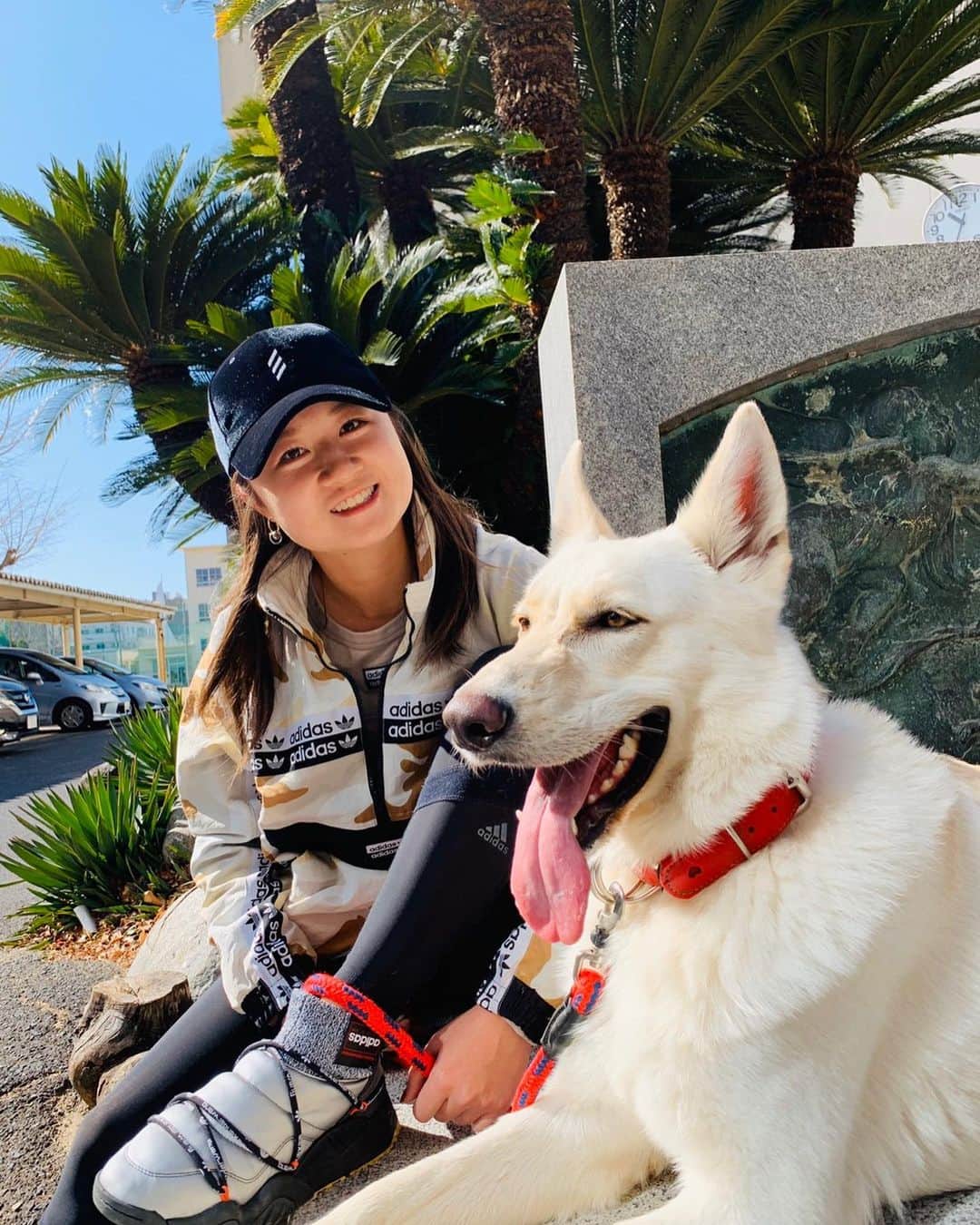 森田遥のインスタグラム：「💙🎂HAPPY BIRTHDAY 🎂🖤 🐺🧚‍♂️MY SWEETIE 🧚‍♂️🐺 #3さい #3月21日 #ゼロ #ホワイトシェパード#whiteshepherd」