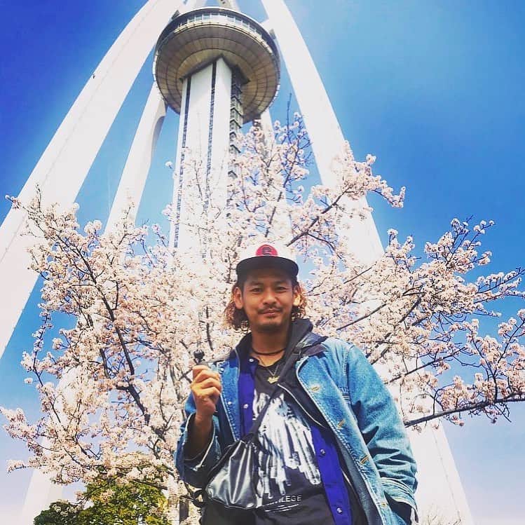 のインスタグラム：「‪#愛知県 #一宮市 #桜 咲いてましたー！！🌸‬ #名古屋旅  #旅 #trip #愛知県 #旅人 #日本 #japan」