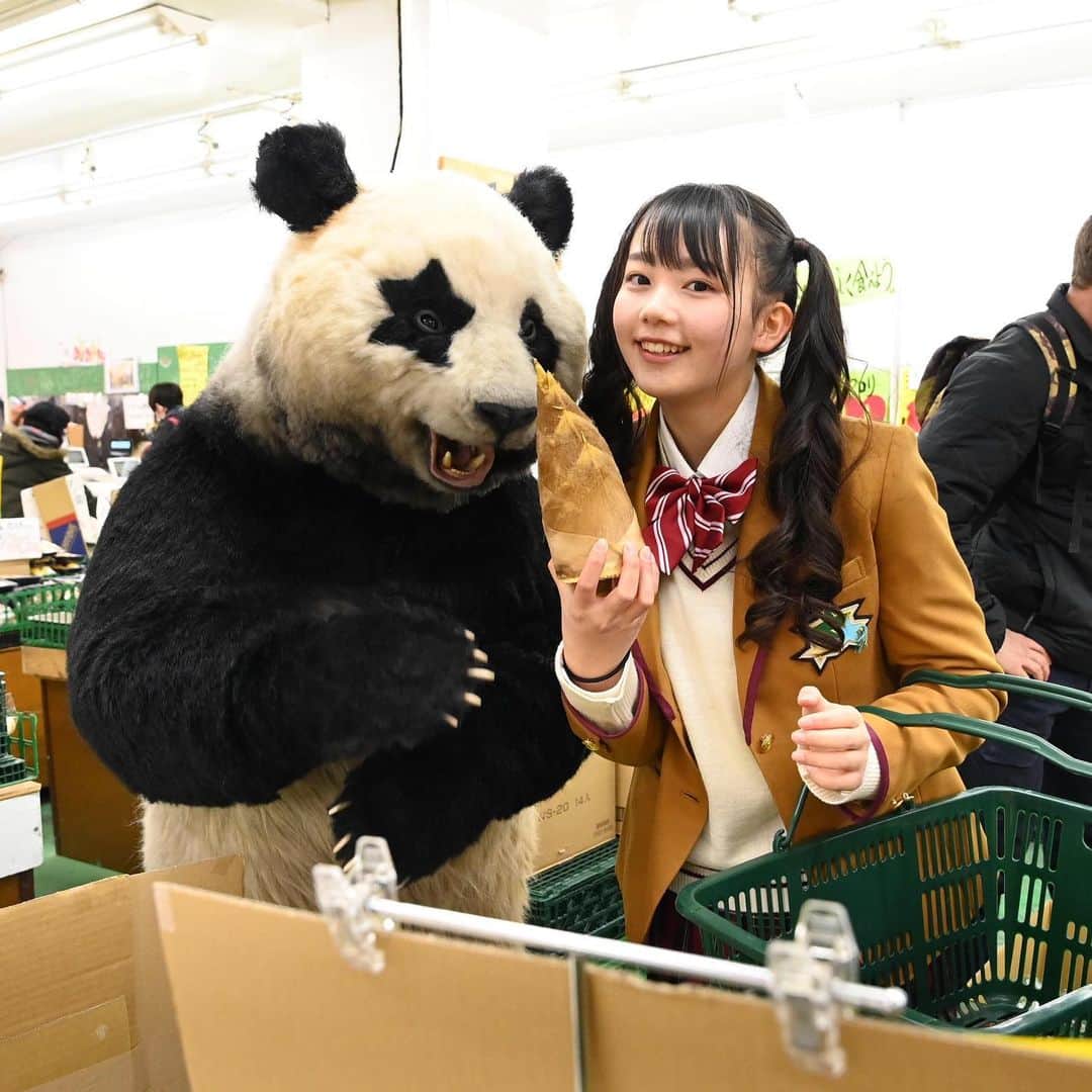 星星（セイセイ）さんのインスタグラム写真 - (星星（セイセイ）Instagram)「🎋 . #タケノコ買おうよ✨ #これくらいペロリだよ😋 . #星星 #パンダ #panda #pandagram #パンダ好きな人と繋がりたい #レイア #相方 #ZIP!」3月17日 16時58分 - seisei_panda