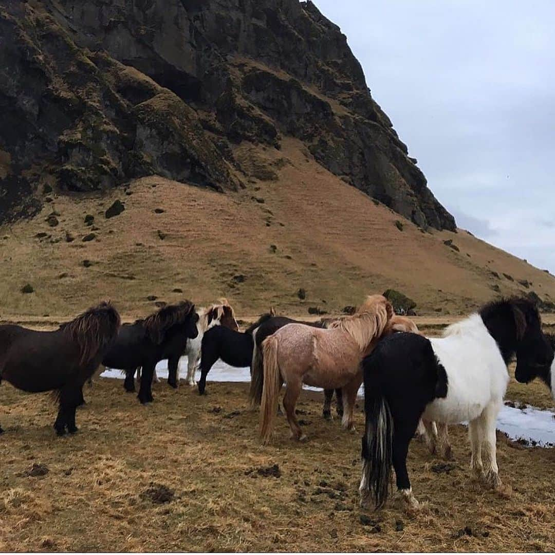 ビヤさんのインスタグラム写真 - (ビヤInstagram)「⛰」3月17日 8時21分 - b_2ya