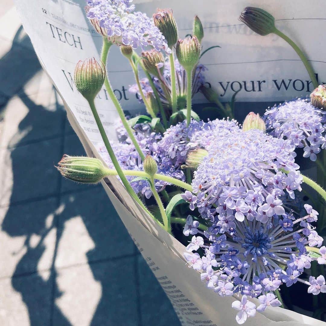 和歌子さんのインスタグラム写真 - (和歌子Instagram)「⠀ 一種類だけ。 ラフに束ねた 花束がほんとーにすき ⠀ #お花のある暮らし #お花と香りのある暮らし」3月17日 8時49分 - __waka.___