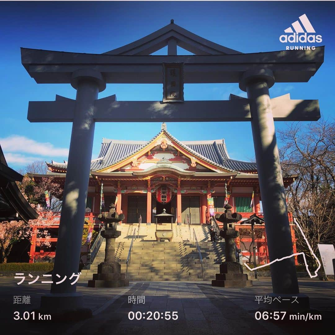 橋本塁さんのインスタグラム写真 - (橋本塁Instagram)「朝ラン終了！ #サウシュー #stingrun #run #running  #adidas #朝ラン #ランニング #ラン #urbanrunning #adidasrunning #adidasultraboost #streetrunning #アディダス」3月17日 10時13分 - ruihashimoto