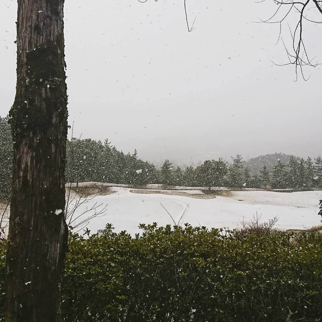 越智翼さんのインスタグラム写真 - (越智翼Instagram)「昨日は吹雪の中ゴルフしました。  こんなに寒くなるとは💦  スコアは………相変わらずでした💦  楽しかったらいいんです✨  #ゴルフ #吹雪」3月17日 10時53分 - hair_and_smile_koko