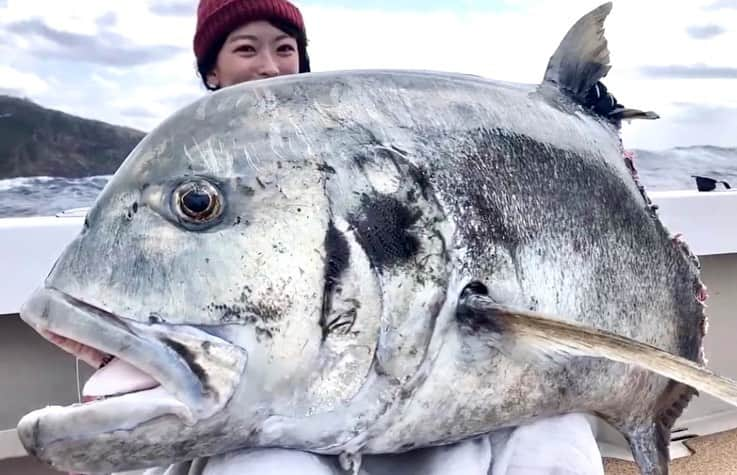 高本采実さんのインスタグラム写真 - (高本采実Instagram)「🐟 やっと国内初GTキャッチ‼️ と思いきや...!? . 波高3m、大うねりの中、 鳥山を狙って三投目。 GTの水面バイトで波紋が広がる。 ジジジジジーと、勢いよく下に潜り込む感じ、 GTだ〜‼️と確信。 しっかり針にかかってファイトし数十秒後、 外れた？？と思い、 何回かリーリングすると ちゃんと掛かっていて魚の重みを感じた。 . 波がすごくてファイトに苦戦。 強い引きで持っていかれそうになりながらも 何度も竿を立て直した。 . ポンピングする中で、 波を利用しながら巻く を意識しだして すぐGTの姿が見えてきた。 . しかしよく見るとGTの体が欠けている、、？ . ランディングしてもらい釣り上げたGTを見ると 背鰭から後ろは、歯型が刻まれていて サメに噛みちぎられていた。 . 一瞬外れたかと思った時、 サメから逃げていたか 食い上げられた瞬間だったかもしれない。 その後はサメがGTをくわえていたから、 引きが力強く重みがあった。 . キャスティングからキャッチまで 私がようやく初めて釣り上げた国内GTは シャークアタックGTだった。 . すっごく悔しくて、 自分のファイトの下手くそさや、 ロッドベルトのセッティング等も 色々反省することがたくさんある。 . 齧られたGTのウェイトを測定すると32kg。 齧られてなかったら推定38kgだった。 . サメに齧られて命を落としたGT...ごめんなさい。 骨ごと喰いちぎるって やっぱりすごい...🦈 . . ということで これは初国内GTキャッチのカウントにはしません。 . . 私の国内GTまでの道のりは難関だけど 今シーズンこそは、 齧られたりもしていない まともな元気なGTを キャッチ&リリースできるように 頑張るぞー！！！ . . . . . #GT #gianttrevally  #ロウニンアジ #アジ #シャークアタック #サメ #キャスティング #GTキャスティング #casting #ビッグディッパー #bigdipper #奄美 #奄美大島  #トカラ列島 #ブンブンイメージガール #大物ハンター #大物釣り #釣り #釣果 #釣りフォト #tsurijoy  #釣り好き #釣りガール #アングラー #angler #fishinggirl #钓鱼 #高本采実 #あやみん #ayamistagram」3月17日 12時44分 - ayami__summer