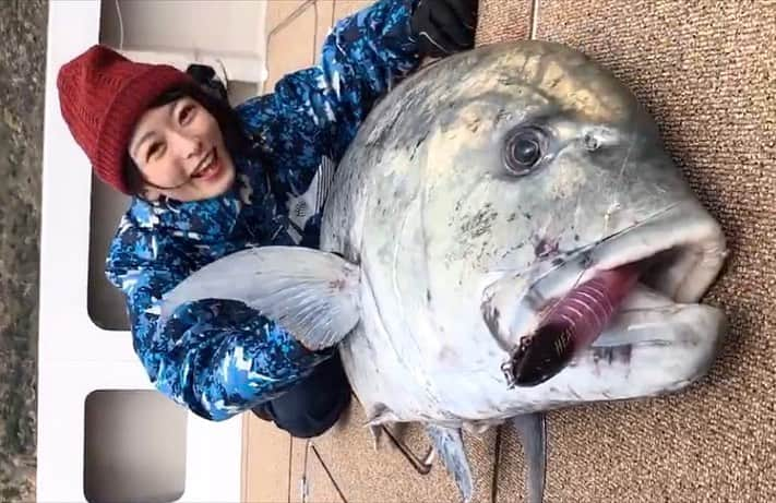 高本采実さんのインスタグラム写真 - (高本采実Instagram)「🐟 やっと国内初GTキャッチ‼️ と思いきや...!? . 波高3m、大うねりの中、 鳥山を狙って三投目。 GTの水面バイトで波紋が広がる。 ジジジジジーと、勢いよく下に潜り込む感じ、 GTだ〜‼️と確信。 しっかり針にかかってファイトし数十秒後、 外れた？？と思い、 何回かリーリングすると ちゃんと掛かっていて魚の重みを感じた。 . 波がすごくてファイトに苦戦。 強い引きで持っていかれそうになりながらも 何度も竿を立て直した。 . ポンピングする中で、 波を利用しながら巻く を意識しだして すぐGTの姿が見えてきた。 . しかしよく見るとGTの体が欠けている、、？ . ランディングしてもらい釣り上げたGTを見ると 背鰭から後ろは、歯型が刻まれていて サメに噛みちぎられていた。 . 一瞬外れたかと思った時、 サメから逃げていたか 食い上げられた瞬間だったかもしれない。 その後はサメがGTをくわえていたから、 引きが力強く重みがあった。 . キャスティングからキャッチまで 私がようやく初めて釣り上げた国内GTは シャークアタックGTだった。 . すっごく悔しくて、 自分のファイトの下手くそさや、 ロッドベルトのセッティング等も 色々反省することがたくさんある。 . 齧られたGTのウェイトを測定すると32kg。 齧られてなかったら推定38kgだった。 . サメに齧られて命を落としたGT...ごめんなさい。 骨ごと喰いちぎるって やっぱりすごい...🦈 . . ということで これは初国内GTキャッチのカウントにはしません。 . . 私の国内GTまでの道のりは難関だけど 今シーズンこそは、 齧られたりもしていない まともな元気なGTを キャッチ&リリースできるように 頑張るぞー！！！ . . . . . #GT #gianttrevally  #ロウニンアジ #アジ #シャークアタック #サメ #キャスティング #GTキャスティング #casting #ビッグディッパー #bigdipper #奄美 #奄美大島  #トカラ列島 #ブンブンイメージガール #大物ハンター #大物釣り #釣り #釣果 #釣りフォト #tsurijoy  #釣り好き #釣りガール #アングラー #angler #fishinggirl #钓鱼 #高本采実 #あやみん #ayamistagram」3月17日 12時44分 - ayami__summer