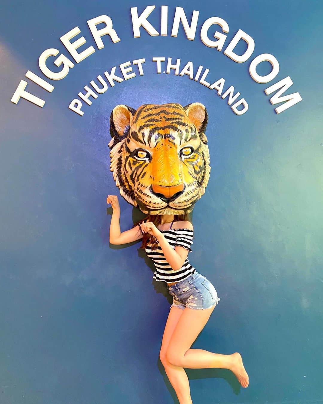 高橋としみさんのインスタグラム写真 - (高橋としみInstagram)「うふ❤️ ここはどうしても行きたかった🐯 . . #タイ#Thailand#thailand🇹🇭 #タイガーキングダム #としみんプーケット2020 #プーケット#Phuket#タイオプショナルツアー」3月17日 13時29分 - toshimi_1002