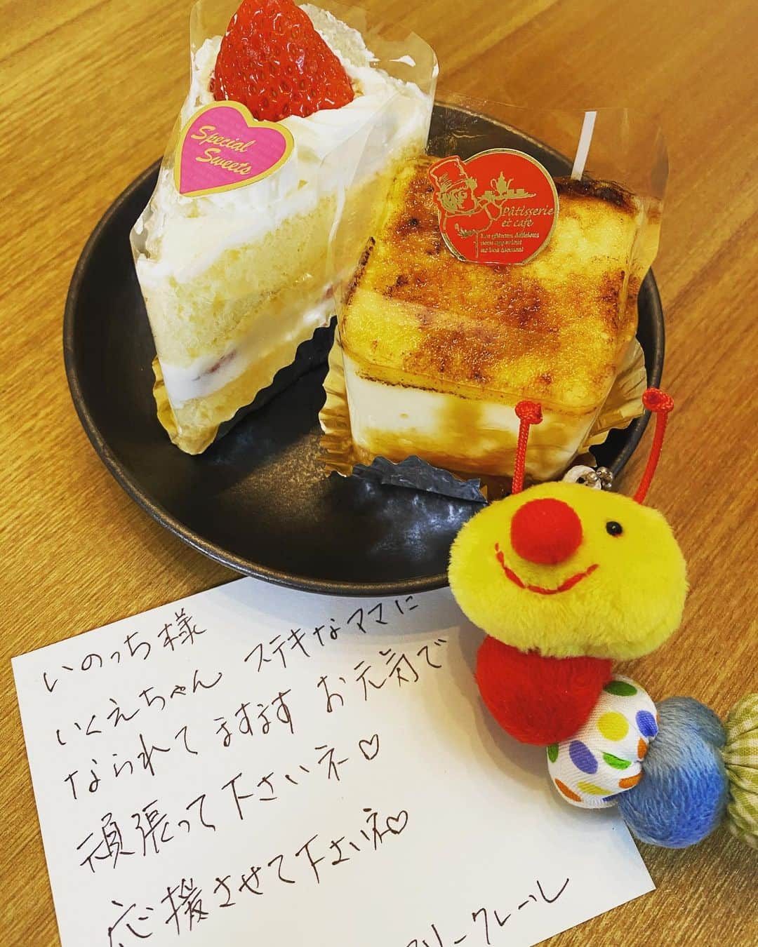 井下育恵のインスタグラム：「. コロナコロナで気が重いので 最近の嬉しかったことシリーズ👓 . . お仕事でお世話になって以来馴染みの店に、久しぶりに行くと 温かいメッセージと可愛いマスコットが入っていたこと☺️ . . 👶とお散歩していると、いろんな人が話しかけてくれること 👴🏻👵🏻 別れ際に「👶に会えて今日はいい日だ」って言ってくれる方も多くて🥺…こちらこそ❣️と毎回嬉しい。 . . ちなみに👶は、どう髪を乾かしてもちょんまげができるのですが笑 ちょんまげヘアを褒めてくれたとあるご婦人は、髪をくくっているわけではないナチュラルちょんまげであることに、驚き爆笑していましたΣ👵🏻✨ . . . #大分市　#マリークレール #コロナはやく終息してほしい #せっかく暖かくなったのに #お出かけしたい　#予防はしっかりたまには息抜き」