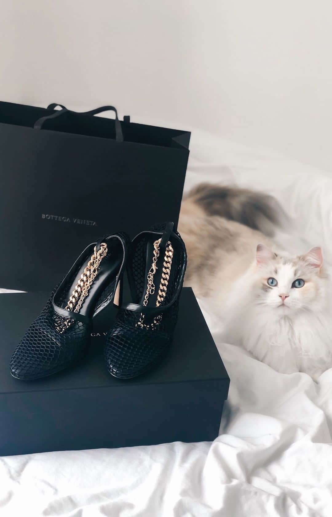 Ruby Kwanのインスタグラム：「#TuesdayShoesday Let’s have a shoes unboxing video today. Obsessed with @bottegaveneta #meshpumps. 😍 I already have the first version. You can scroll to my #rougeclosetunboxing #IGTVseries to watch them again. But now I can’t resist the 2nd version too. 🙈 I have the nude colour previously. So, this #ss20 version are in black without any doubt. They are very comfortable I have to say with the newly added cashmere cushion sole. Ohh! So nice. 😻😻😻 what do you think? You prefer the first or this second version? Let me know. 😘 #bottegaveneta #newbottega #daniellee  Shop them here: https://rstyle.me/cz-n/d4aqcxbwxf7 _______________________________________________________ #bottegavenetashoes #bottegavenetass20 #bvshoes #bottegavenetasandals #bottegavenetabydaniellee #newbottegaveneta #rubyk #unboxingvideo #bottegavenetaunboxing #rubykwan #lunaandqoony #blacksandals #shoesporn #luxuryfashion #luxuryfashionlove #unbox #minimalistfashion #styleinspirations #realstyle #hongkong #styleblogger」
