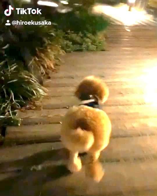 日下裕江のインスタグラム