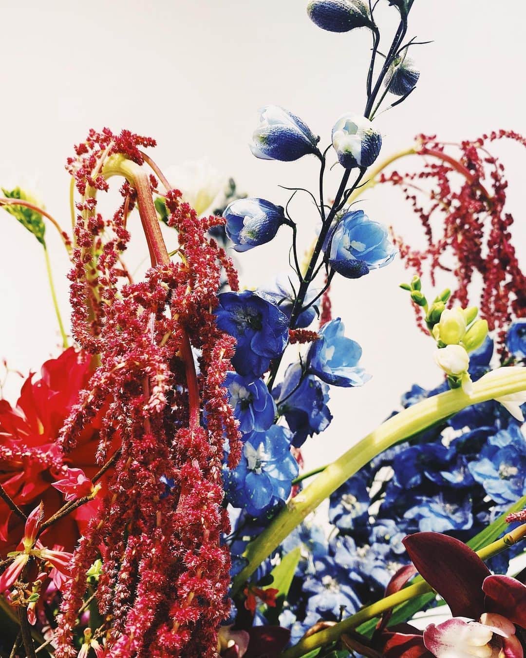 鈴木えみさんのインスタグラム写真 - (鈴木えみInstagram)「Lautashiのデビューコレクションから、 展示会場の装飾をお願いしている @logiplantsandflowers  いつも素敵なお花をありがとう❤️」3月17日 17時31分 - emisuzuki_official