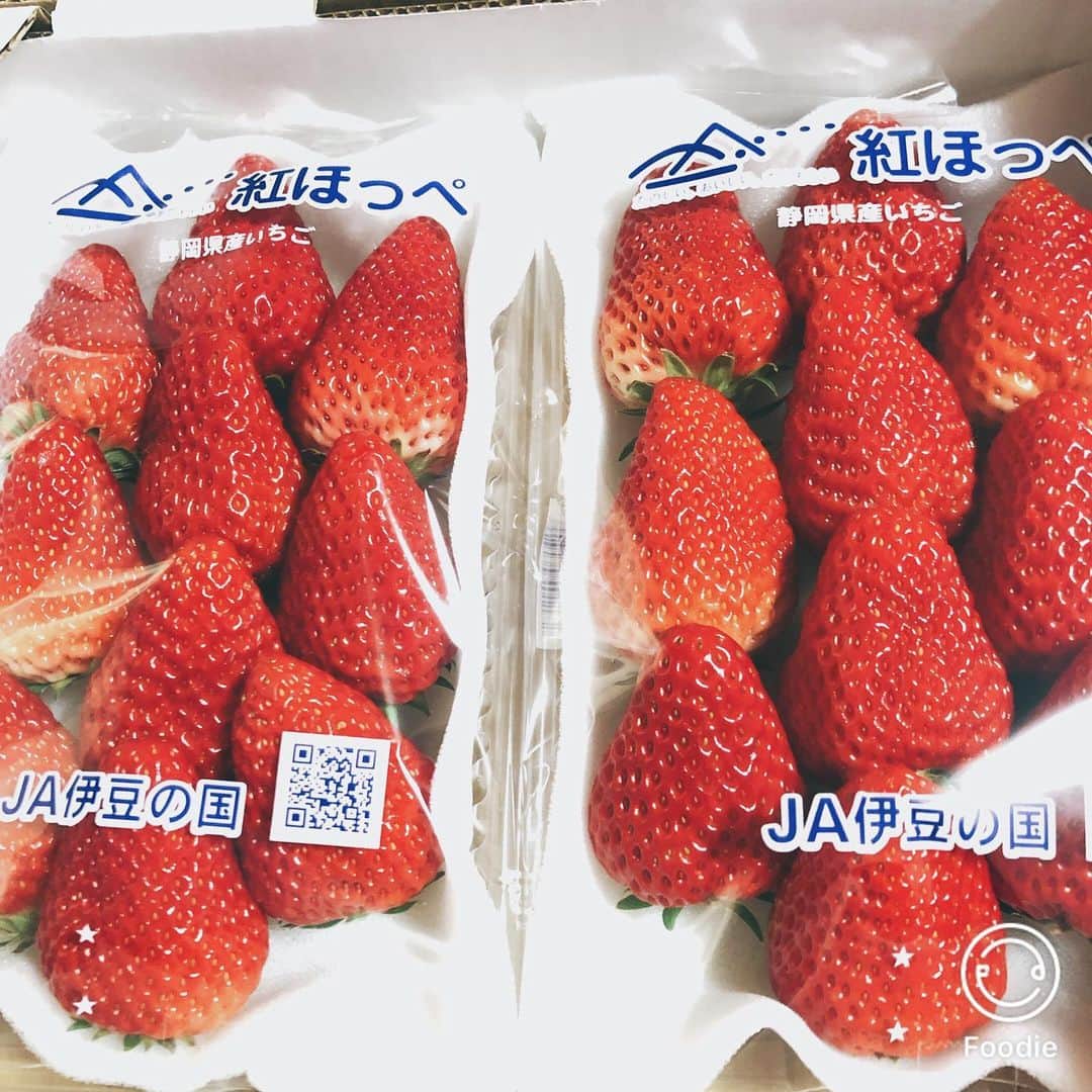 富士彦のグルメインスタ